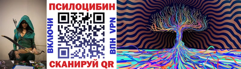 Галлюциногенные грибы мицелий где можно купить Корсаков