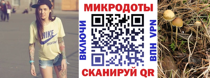 Псилоцибиновые грибы Psilocybe Корсаков